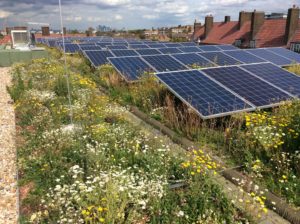 Clapham Park solar panels on roof