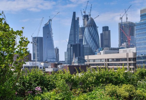 green roof london report