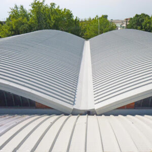 Image shows curved roofing