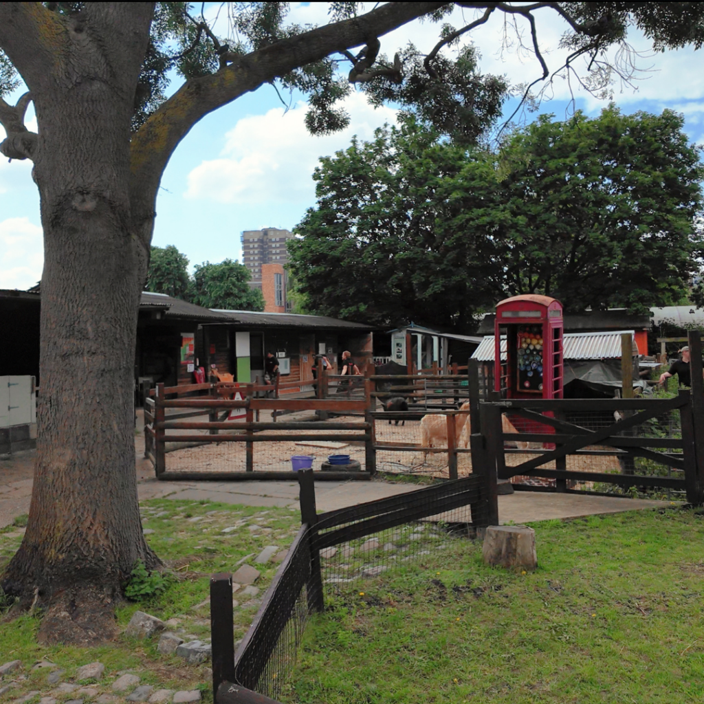 An urban farm with green space, fencing, outdoor shelter and trees