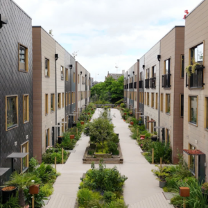 Modern housing plot with green space